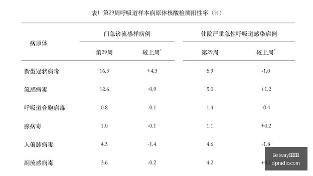 最新,沙特空袭也,门北部,Betway必威亚洲,必威体育,betway亚洲,必威平台,体育投注